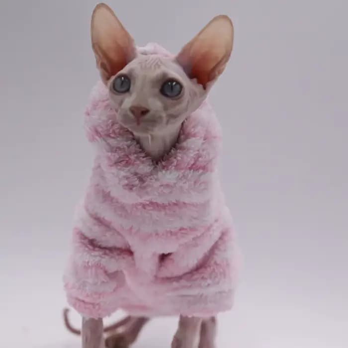 Cardigan en laine de vison pour animaux de compagnie, veste épaisse pour chat Sphinx, vêtements sans