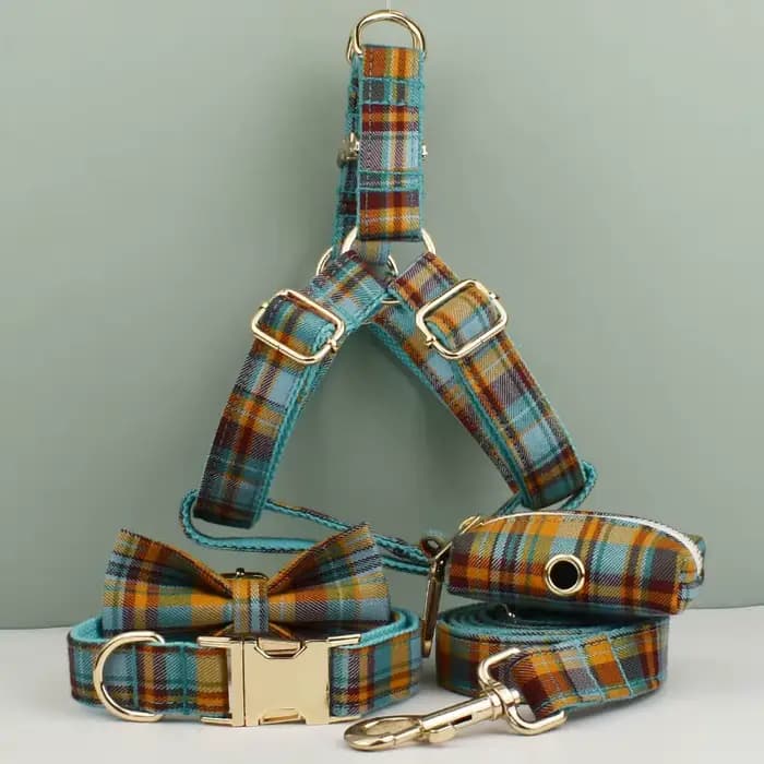 Accessoires pour animaux de compagnie : Ensemble collier, laisse et harnais pour chien personnalisé,