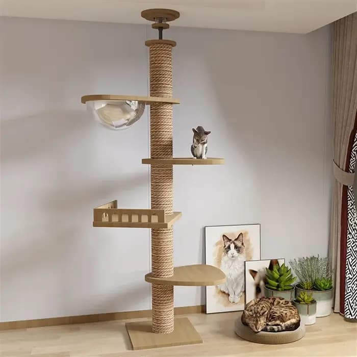 Maison d'arbre réglable pour chat