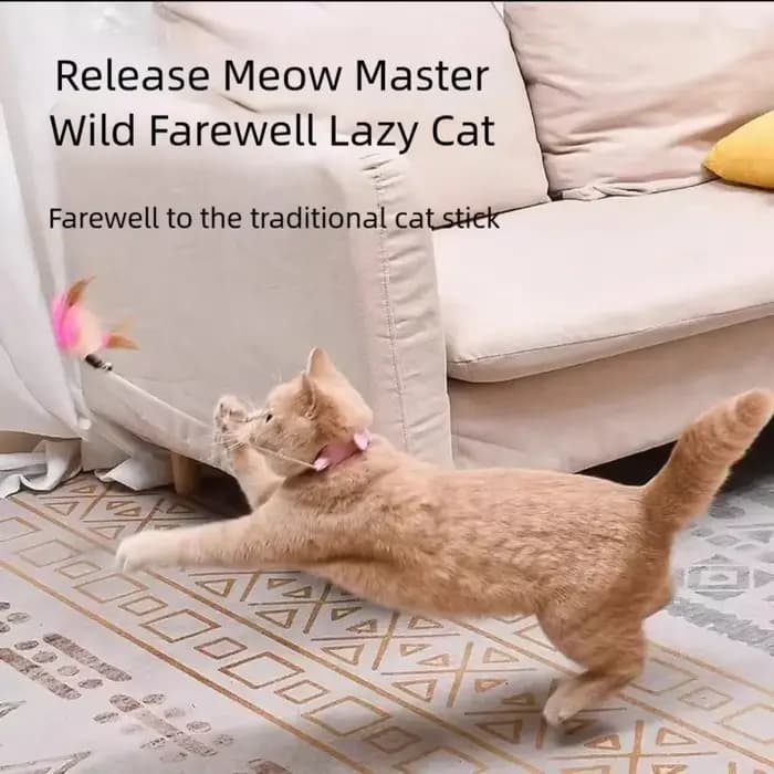 Nouveau produit : Collier jouet pour chat à plumes et clochette, pour auto-entretenement, Fournitures pour animaux de compagnie