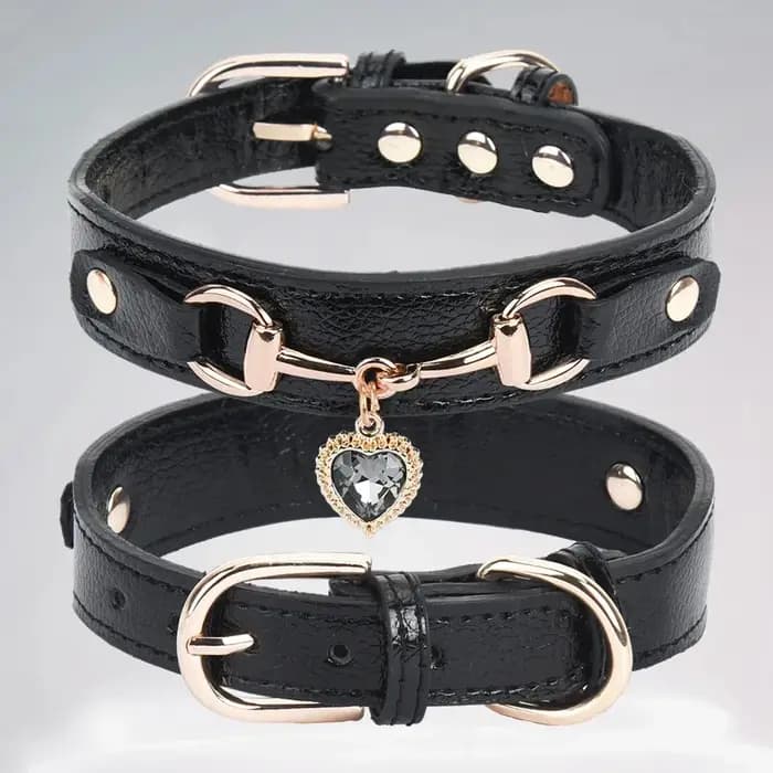 Collier pour chats, harnais et laisses pour animaux de compagnie, accessoires de marchandises, ceinture pour chatons, produits pour chiots