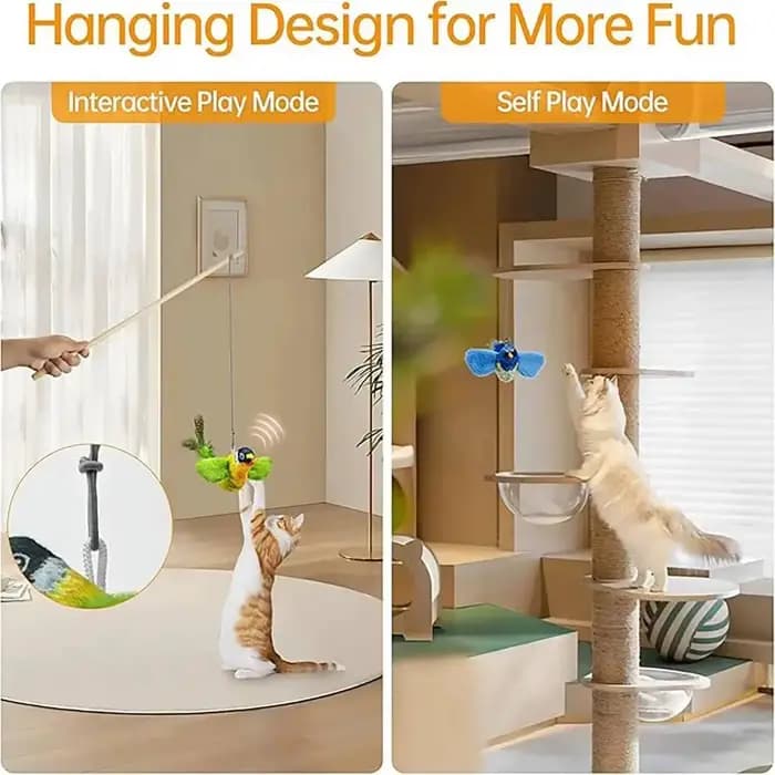 Jouet interactif d'intérieur pour chat, oiseaux sonores avec herbe à chat, pour la poursuite et le chatouillage, jouet mural auto-amusant pour chat