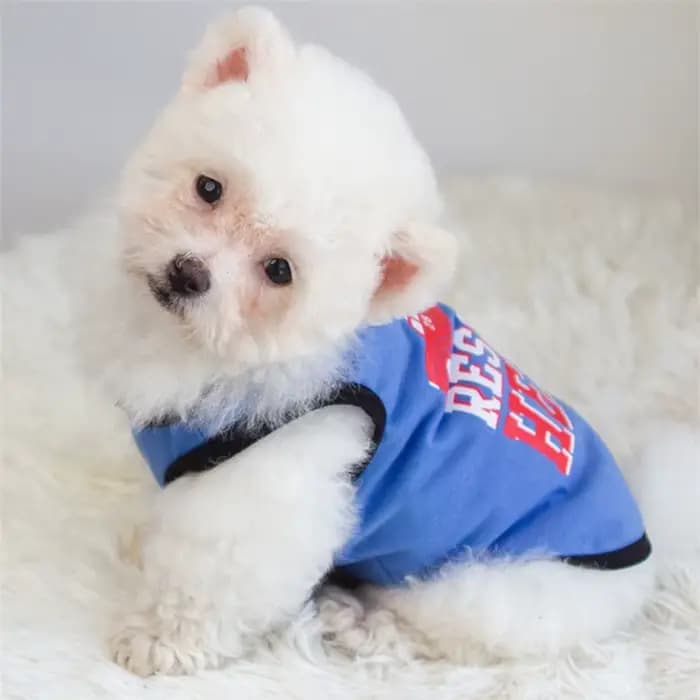 Gilet d'été en coton pour animaux de compagnie, pour petits chiens et chats, T-shirts avec lettres i