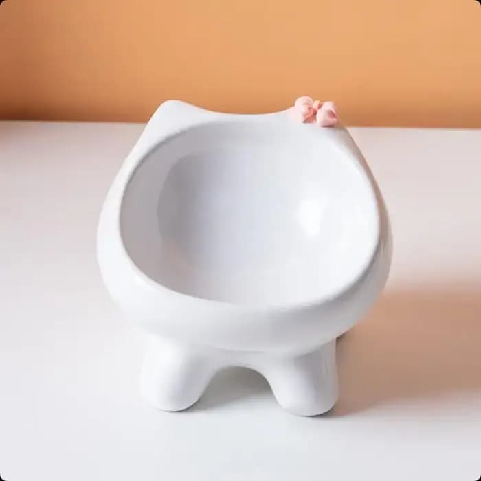 Bol de nourriture pour animaux de compagnie, angle de 15 degrés, pour protéger le cou du chat et éviter la pression sur les moustaches, 1 pièce