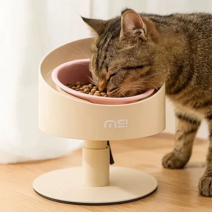 Bol pour nourriture pour chat