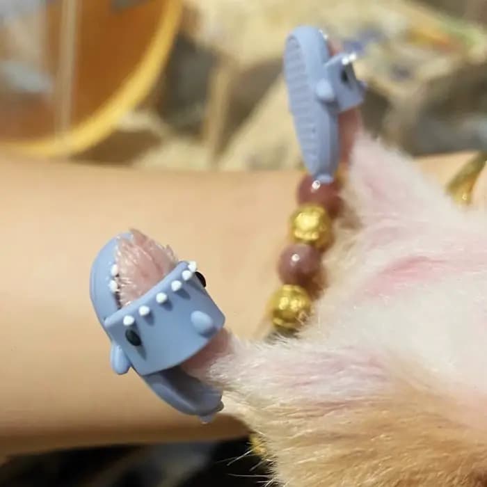 Mini chaussures de Hamster, pantoufles ours doré, pantoufles de requin mignonnes, Costume de Cosplay
