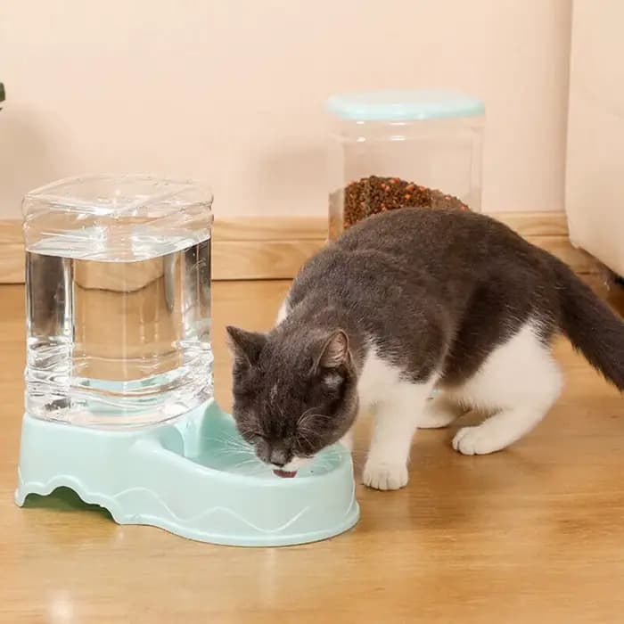 Nouveau Fournitures pour animaux de compagnie chat alimentation chien distributeur de nourriture mangeoire