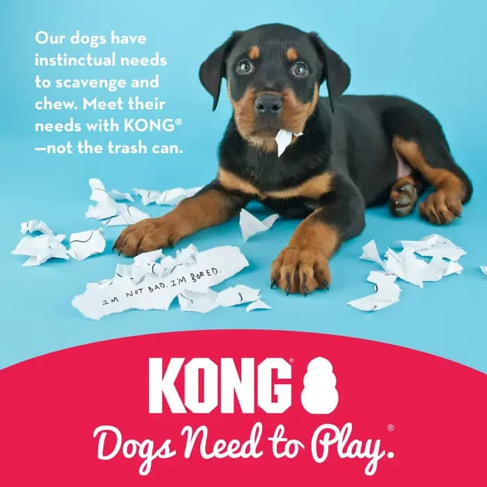KONG - Jouet pour chien extrême - Caoutchouc naturel le plus résistant, noir - Amusant à mâcher, à c