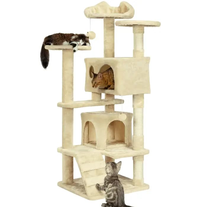 Grande maison pour chatons et chats