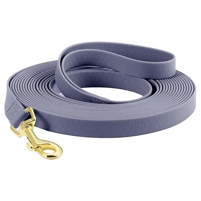 Laisse longue en PVC pour chien