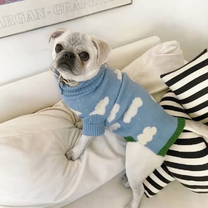 Pull nuage pour chien, vêtements chauds pour chats au printemps