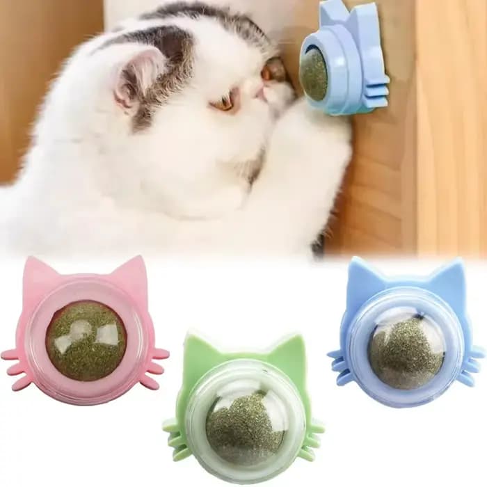 Boules d'herbe à chat, jouets à mâcher dentaires amusants et léchables pour chatons