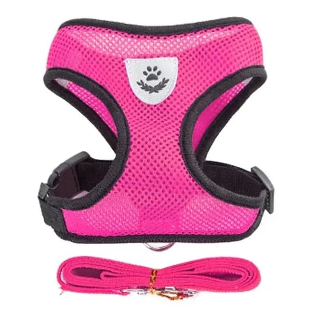 Laisse en plomb en polyester réglable pour animal de compagnie