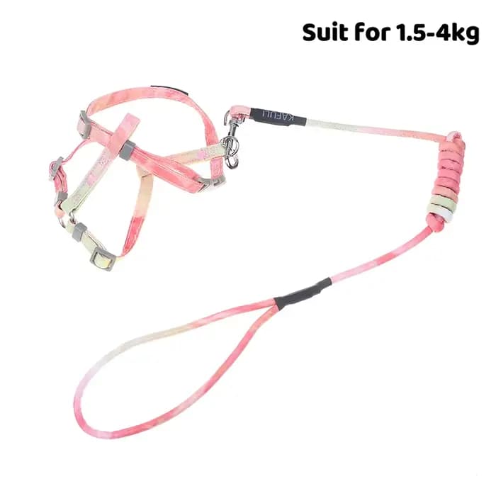 Harnais pour chaton réglable anti-évasion en tissu doux avec collier, laisse et accessoires de tract