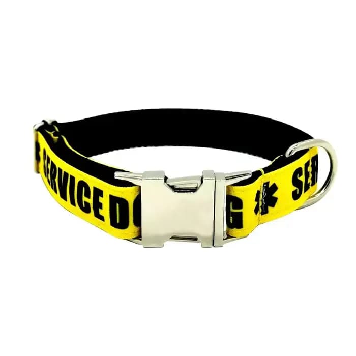 Collier personnalisé pour animaux de compagnie, gravure gratuite, étiquette d'identification de nom