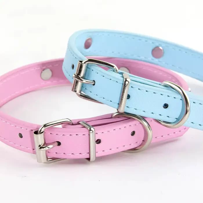 Colliers de chien de compagnie durables en cuir de patte