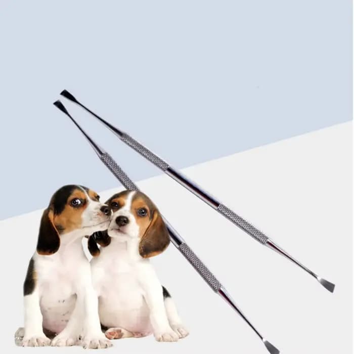 Outil de livres de dents pour animaux de compagnie, acier inoxydable, double tête, dissolvant de tar