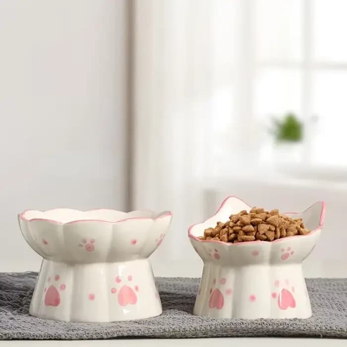 Bol de nourriture en céramique pour chat de compagnie