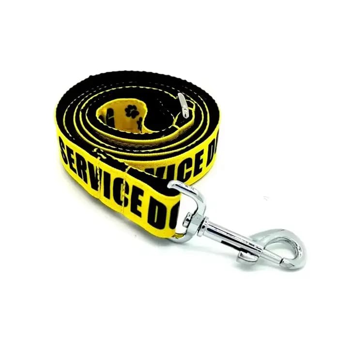 Collier personnalisé pour animaux de compagnie, gravure gratuite, étiquette d'identification de nom