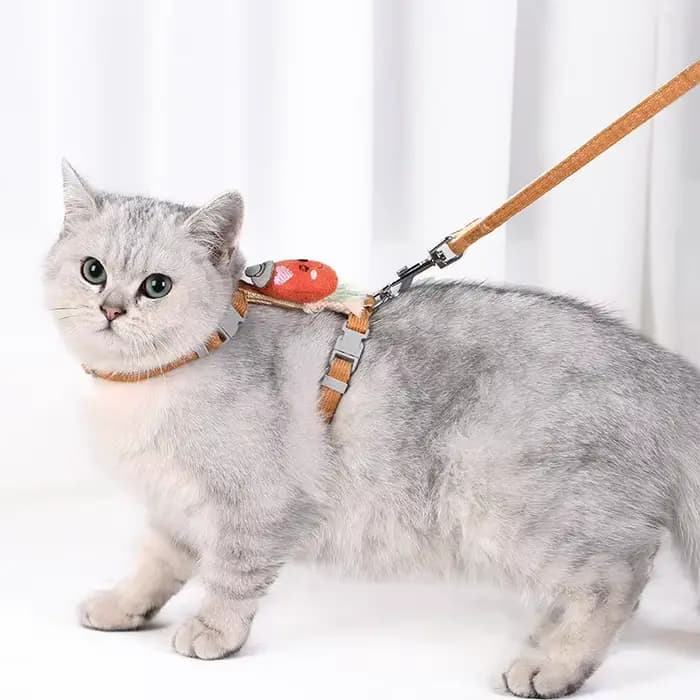 Harnais pour chaton réglable anti-évasion en tissu doux avec collier, laisse et accessoires de traction pour petit chat d'extérieur