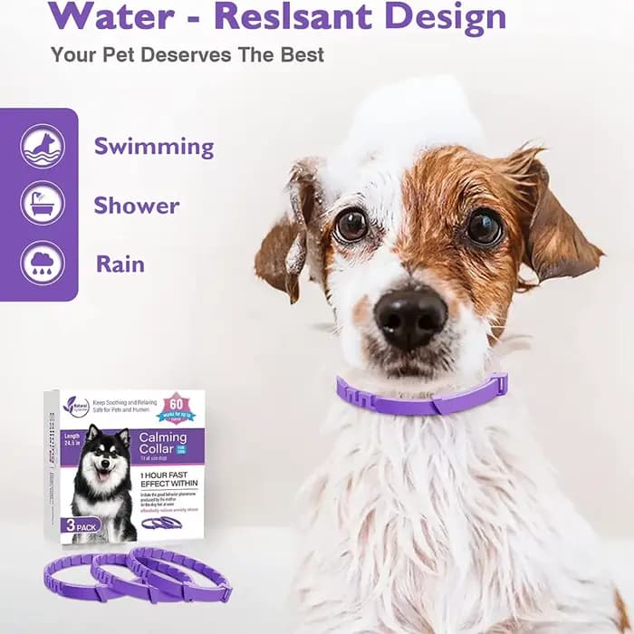 Collier apaisant réglable pour animaux de compagnie, collier pour chats et chiens, réduction de l'an