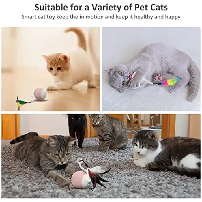Jouets robotiques intelligents pour chat d'intérieur
