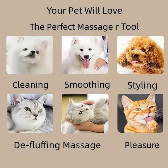 Brosse de massage pour chat, brosse d'angle pour enlever les poils, brosse de beauté pour nettoyer les coins, peigne gratteur amovible pour chaton et chat